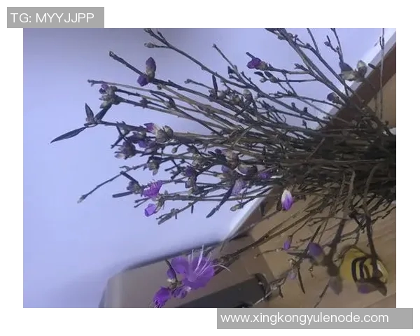 谢尔曼谈状态波动强调心态平和并随时准备上场比赛 谢尔曼谈状态波动强调心态平和并随时准备上场比赛