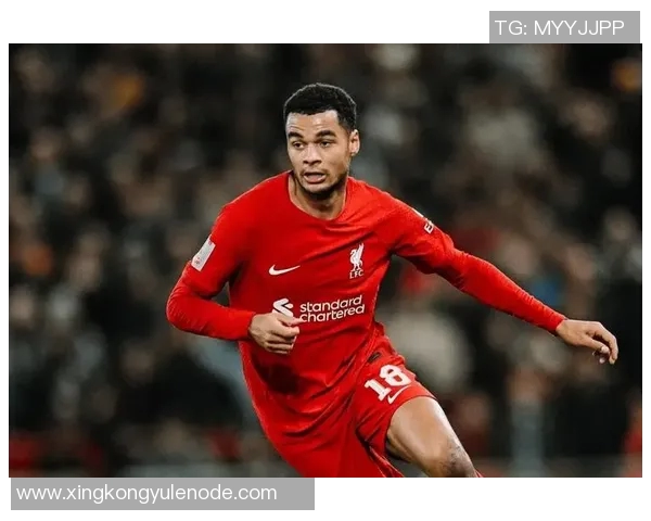 英超现役球员制胜球统计：萨拉赫独占鳌头斯特林紧随其后