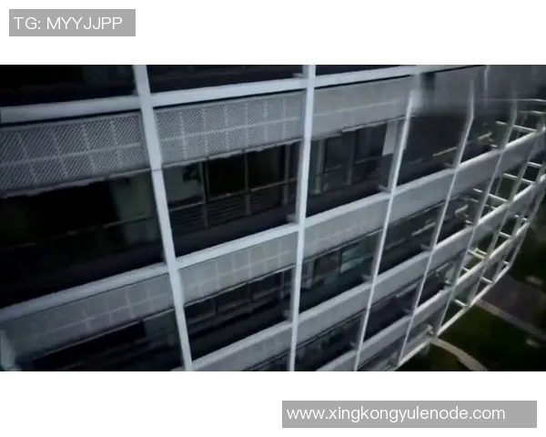 邓弗里斯今日将决定手术与否国米关注帕莱斯特拉和库菲动态